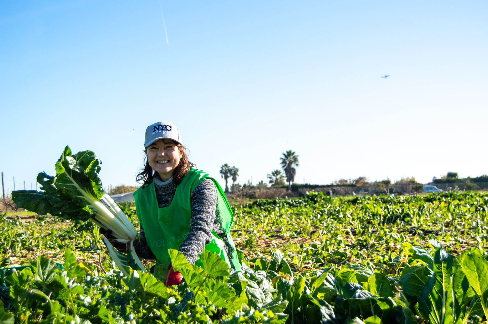 food sharing gleaning