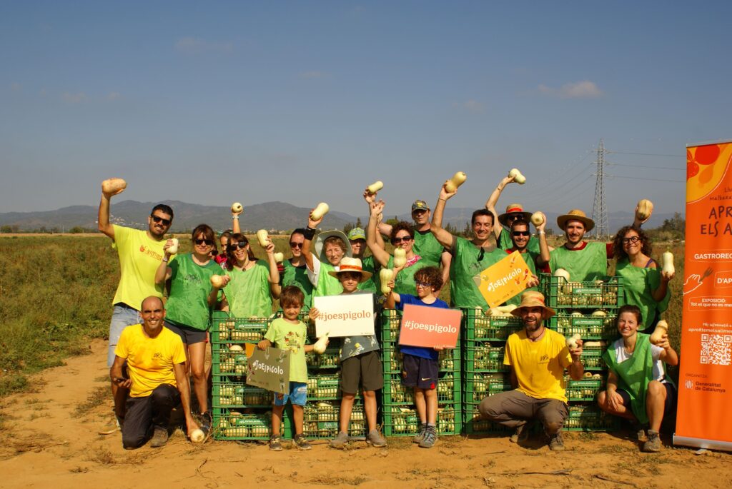 camp terragona gleaning espigoladors