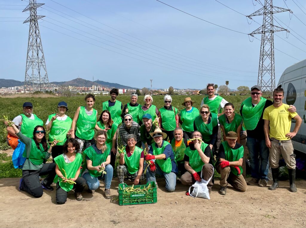 gleaning with espigoladors food sharing barcelona